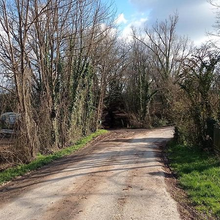 Gite Zen Dans Les Bois Blesignac Εξωτερικό φωτογραφία